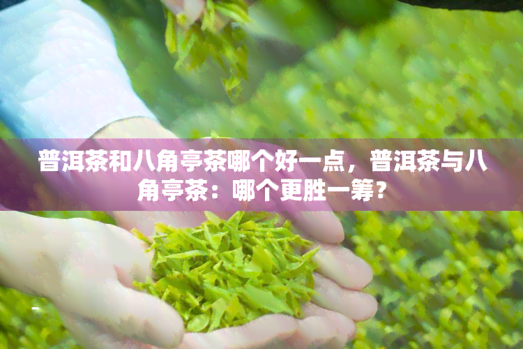 普洱茶和八角亭茶哪个好一点，普洱茶与八角亭茶：哪个更胜一筹？