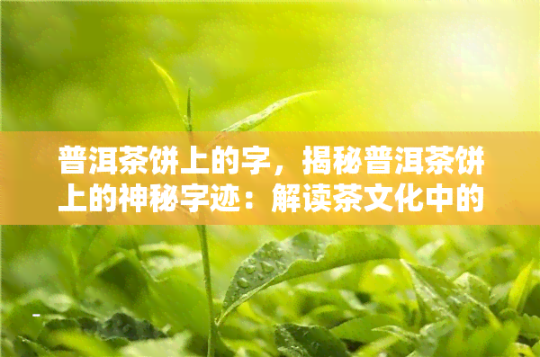 普洱茶饼上的字，揭秘普洱茶饼上的神秘字迹：解读茶文化中的奥秘