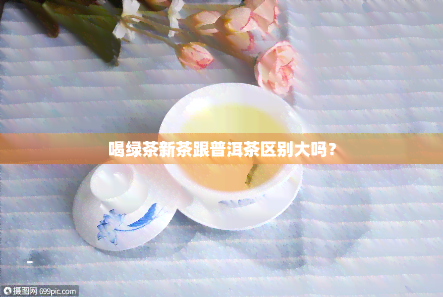 喝绿茶新茶跟普洱茶区别大吗？