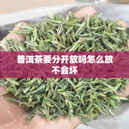 普洱茶要分开放吗怎么放不会坏