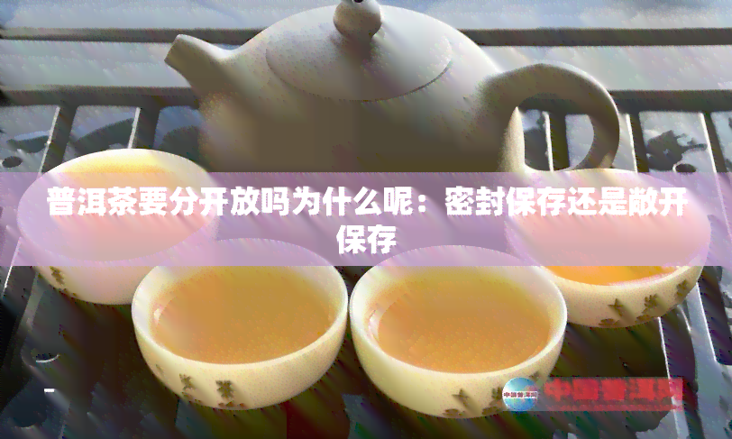 普洱茶要分开放吗为什么呢：密封保存还是敞开保存