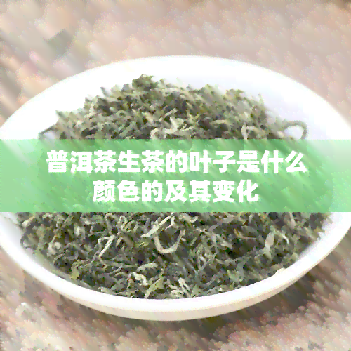 普洱茶生茶的叶子是什么颜色的及其变化