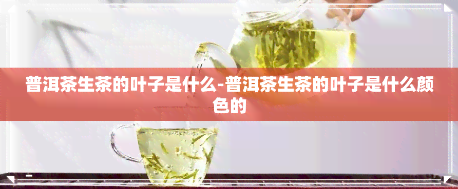 普洱茶生茶的叶子是什么-普洱茶生茶的叶子是什么颜色的