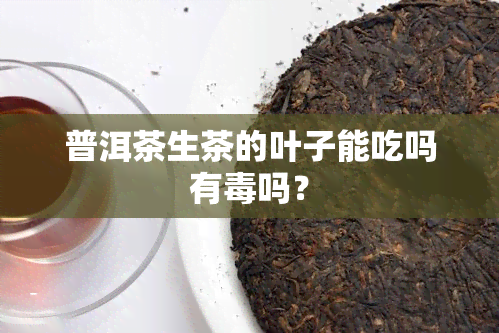 普洱茶生茶的叶子能吃吗有吗？