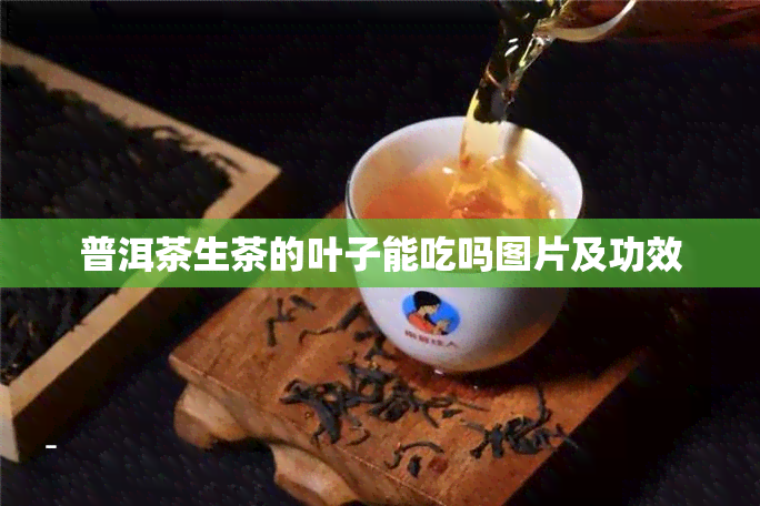 普洱茶生茶的叶子能吃吗图片及功效