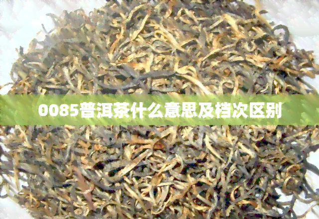 0085普洱茶什么意思及档次区别