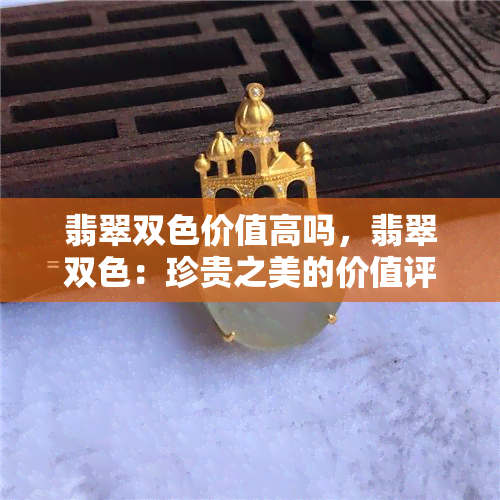 翡翠双色价值高吗，翡翠双色：珍贵之美的价值评估