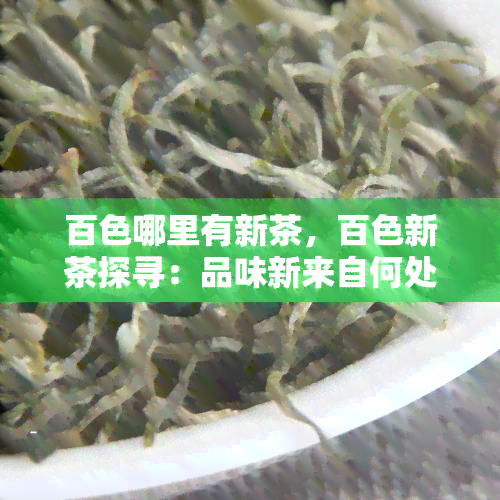 百色哪里有新茶，百色新茶探寻：品味新来自何处？