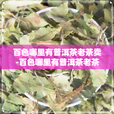 百色哪里有普洱茶老茶卖-百色哪里有普洱茶老茶卖啊