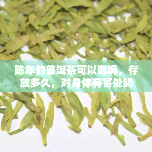 陈年的普洱茶可以喝吗，存放多久，对身体有害处吗