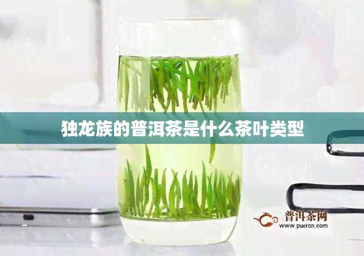 独龙族的普洱茶是什么茶叶类型