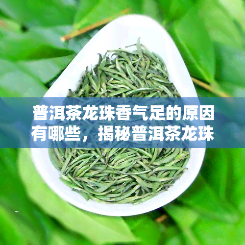 普洱茶龙珠香气足的原因有哪些，揭秘普洱茶龙珠香气源头：探寻香气背后的奥秘