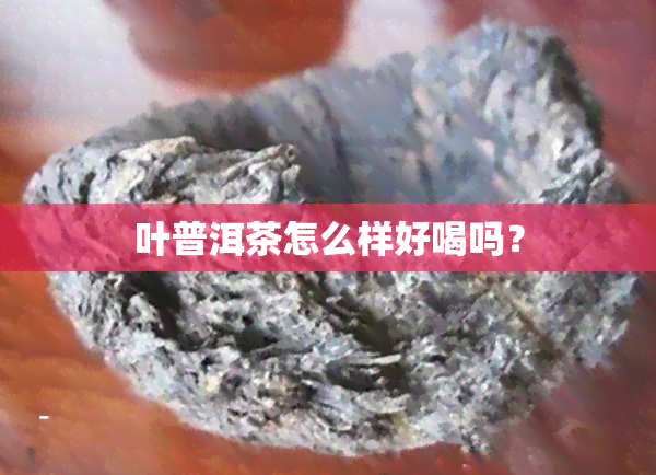 叶普洱茶怎么样好喝吗？