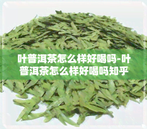 叶普洱茶怎么样好喝吗-叶普洱茶怎么样好喝吗知乎