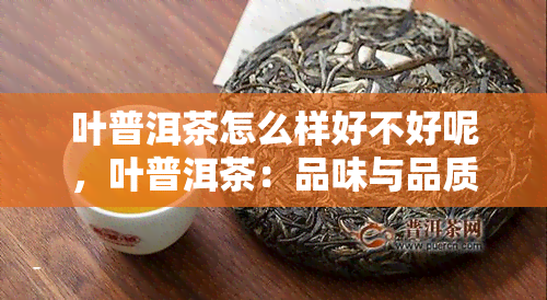 叶普洱茶怎么样好不好呢，叶普洱茶：品味与品质的完美结合？