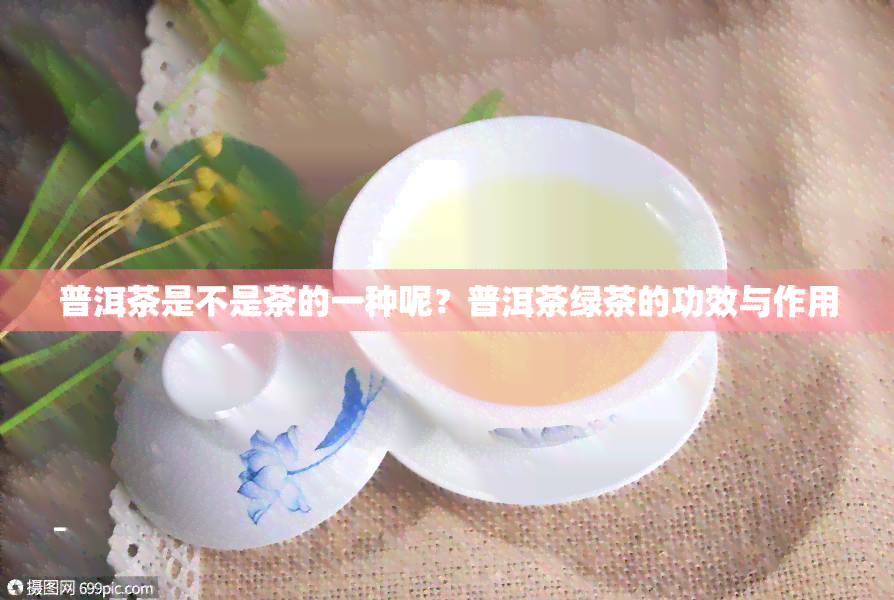 普洱茶是不是茶的一种呢？普洱茶绿茶的功效与作用