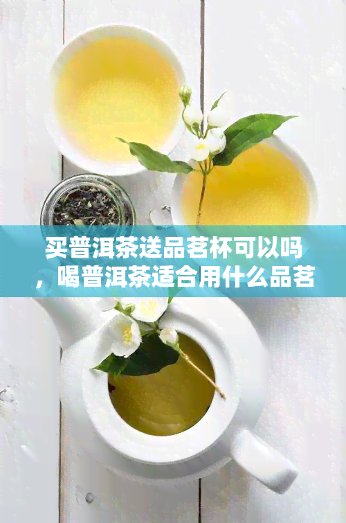 买普洱茶送品茗杯可以吗，喝普洱茶适合用什么品茗杯