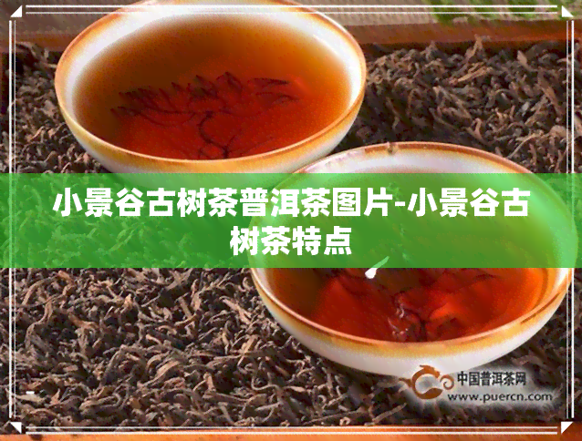 小景谷古树茶普洱茶图片-小景谷古树茶特点