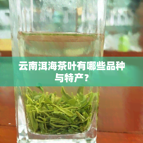 云南洱海茶叶有哪些品种与特产？