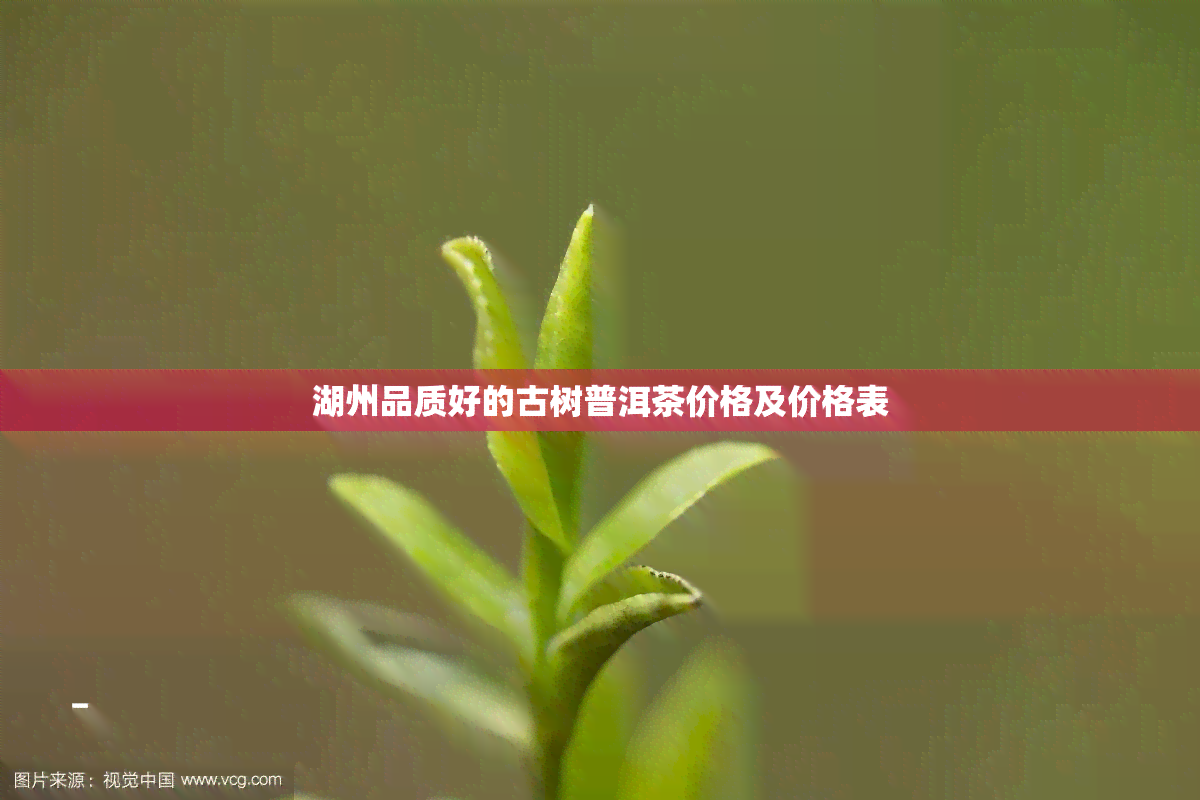 湖州品质好的古树普洱茶价格及价格表