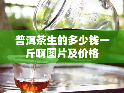 普洱茶生的多少钱一斤啊图片及价格