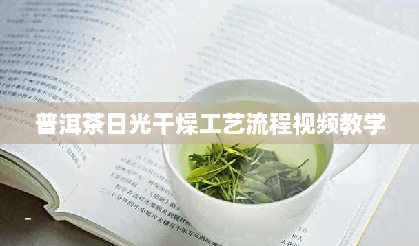 普洱茶日光干燥工艺流程视频教学