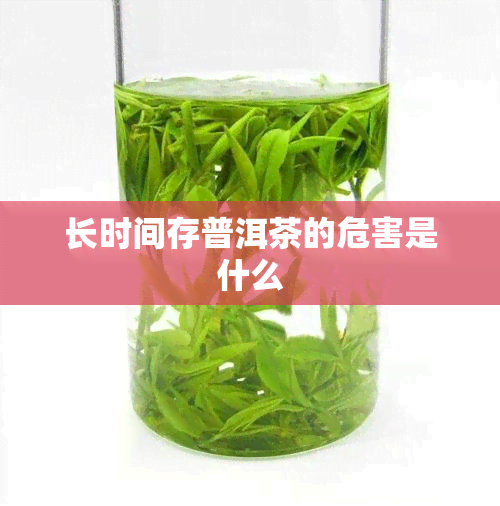 长时间存普洱茶的危害是什么