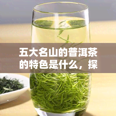 五大名山的普洱茶的特色是什么，探秘五大名山普洱茶：独特之处何在？