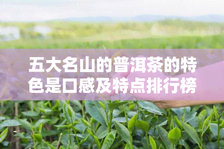 五大名山的普洱茶的特色是口感及特点排行榜