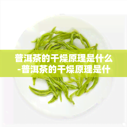 普洱茶的干燥原理是什么-普洱茶的干燥原理是什么意思