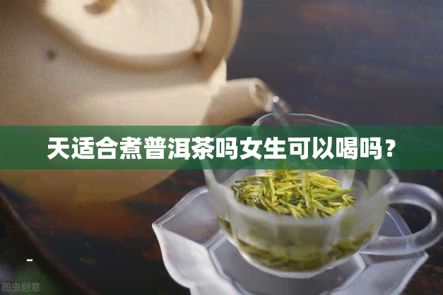 天适合煮普洱茶吗女生可以喝吗？