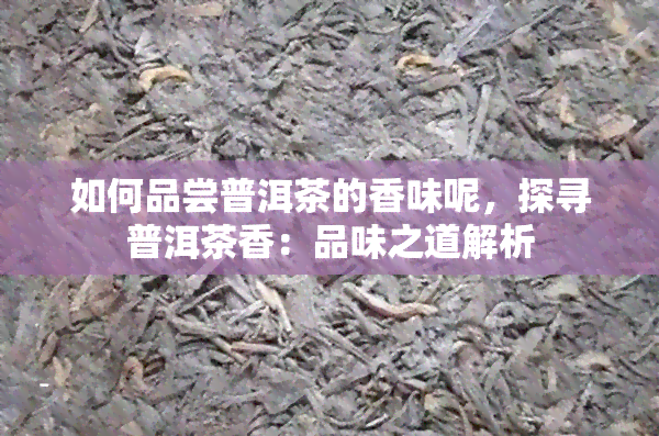 如何品尝普洱茶的香味呢，探寻普洱茶香：品味之道解析