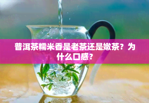 普洱茶糯米香是老茶还是嫩茶？为什么口感？