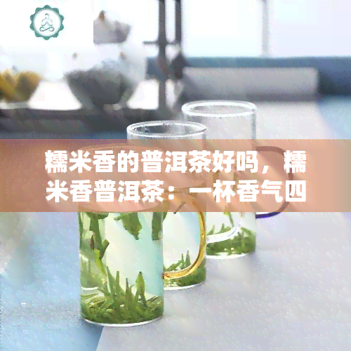 糯米香的普洱茶好吗，糯米香普洱茶：一杯香气四溢的醇厚体验