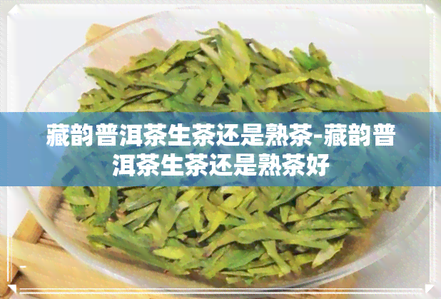 藏韵普洱茶生茶还是熟茶-藏韵普洱茶生茶还是熟茶好