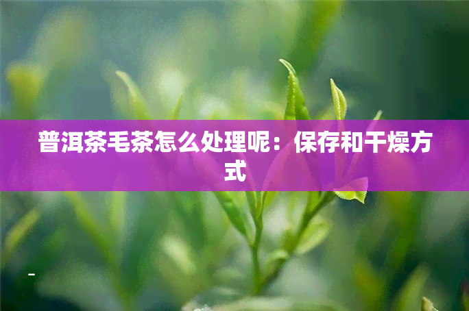 普洱茶毛茶怎么处理呢：保存和干燥方式