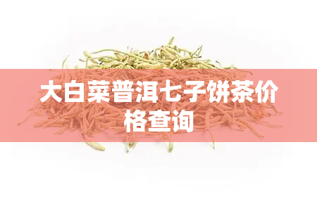 大白菜普洱七子饼茶价格查询