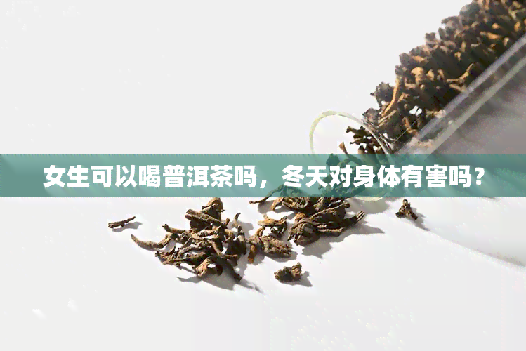 女生可以喝普洱茶吗，冬天对身体有害吗？