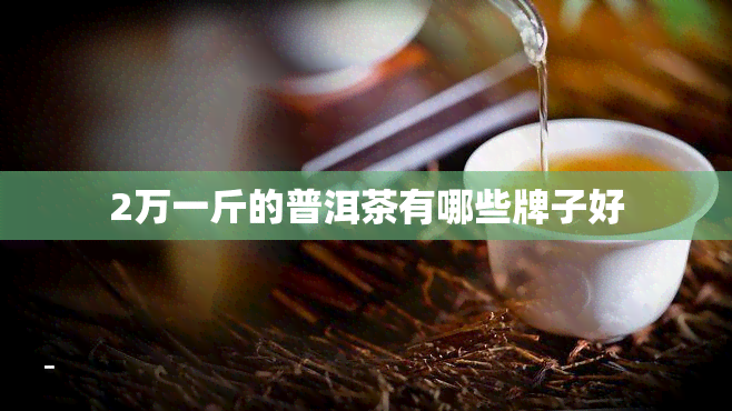 2万一斤的普洱茶有哪些牌子好