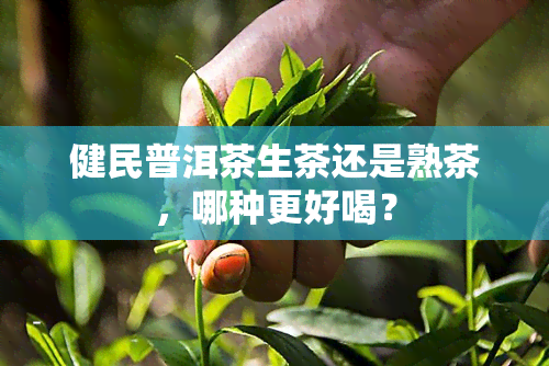 健民普洱茶生茶还是熟茶，哪种更好喝？