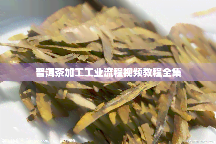 普洱茶加工工业流程视频教程全集