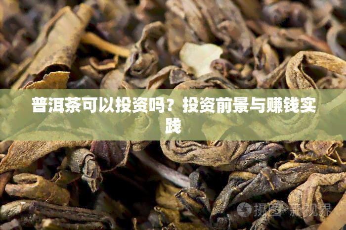 普洱茶可以投资吗？投资前景与赚钱实践