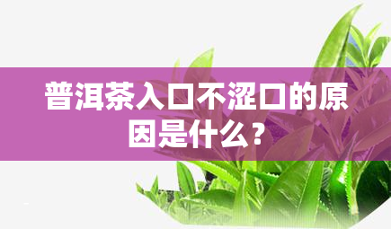 普洱茶入口不涩口的原因是什么？