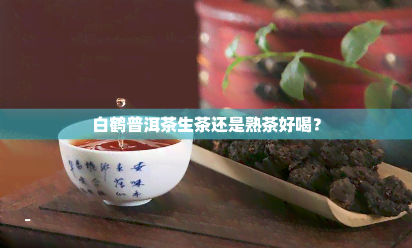 白鹤普洱茶生茶还是熟茶好喝？