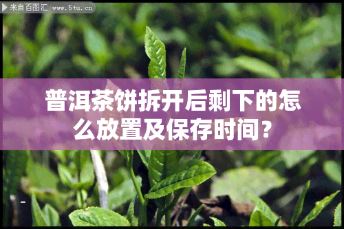 普洱茶饼拆开后剩下的怎么放置及保存时间？