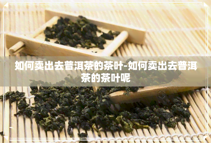 如何卖出去普洱茶的茶叶-如何卖出去普洱茶的茶叶呢