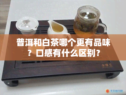 普洱和白茶哪个更有品味？口感有什么区别？