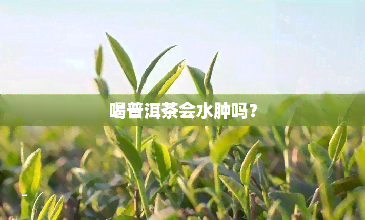 喝普洱茶会水肿吗？