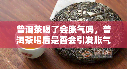 普洱茶喝了会胀气吗，普洱茶喝后是否会引发胀气？揭秘茶叶与胀气之间的关系！