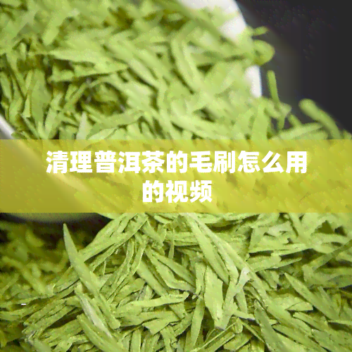 清理普洱茶的毛刷怎么用的视频